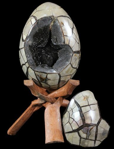 Septarian Dragon Egg Geode - Removable Section #78537